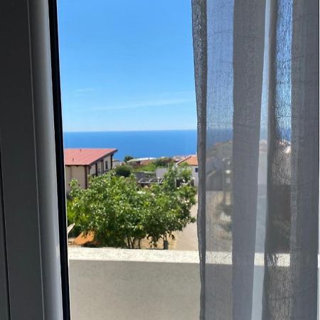 Apartments Wild Beauty - Krimovica Budva Exterior foto